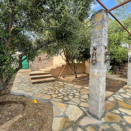 Rose Guesthouse Al 'Aqar エクステリア 写真