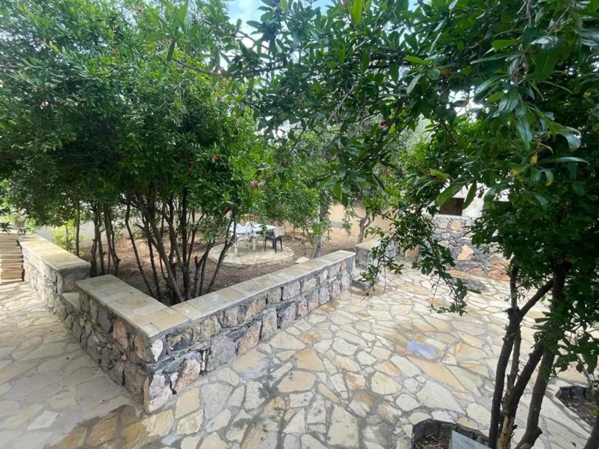 Rose Guesthouse Al 'Aqar エクステリア 写真
